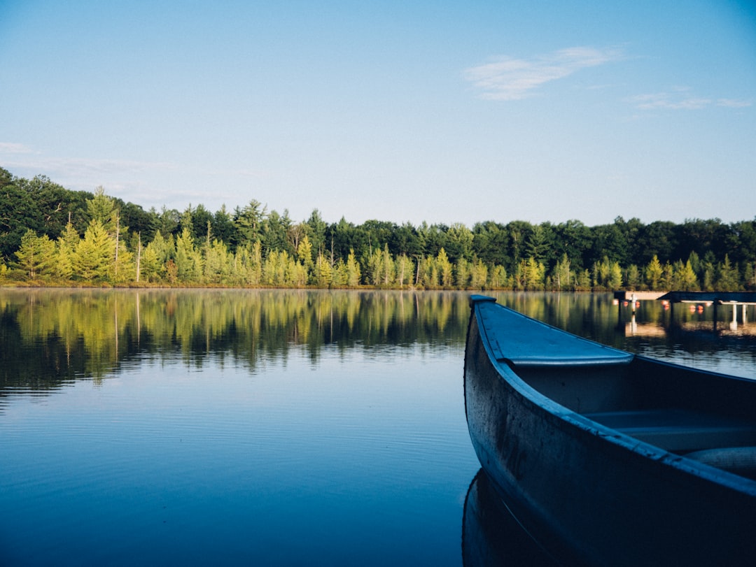 A Complete Guide to Lake Sylvester, Northern Territory